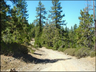 Example of terrain at Gold Note Trails
