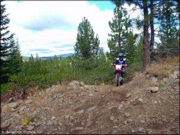 Honda CRF Dirt Bike at Prosser Hill OHV Area Trail