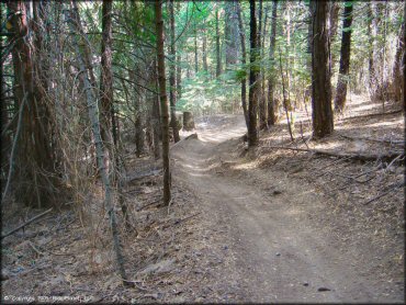A trail at Elkins Flat OHV Routes Trail