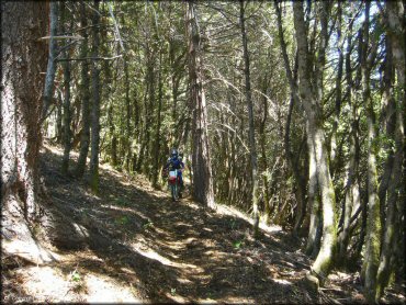 Girl on Honda CRF Motorcycle at High Dome Trail