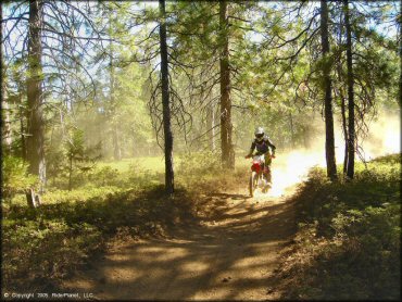 Honda CRF Dirt Bike at Elkins Flat OHV Routes Trail