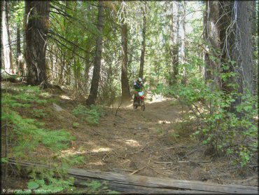 Honda CRF Off-Road Bike at Elkins Flat OHV Routes Trail