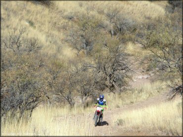 Honda CRF Dirt Bike at Red Springs Trail