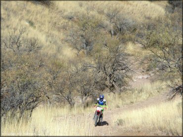 Honda CRF Motorcycle at Red Springs Trail