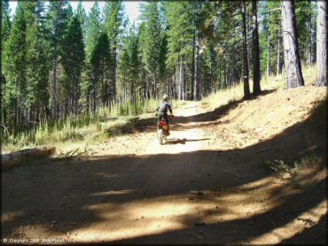 Honda CRF Dirtbike at Elkins Flat OHV Routes Trail