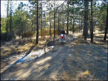 Lake Arrowhead Trail