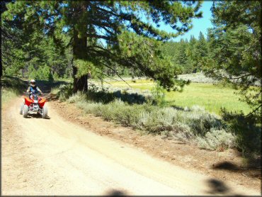Honda Quad at South Camp Peak Loop Trail