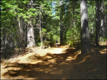 Honda CRF Off-Road Bike at Elkins Flat OHV Routes Trail