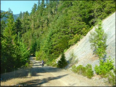 Honda CRF Dirtbike at Lubbs Trail