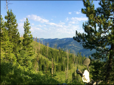 Mosquito Creek Trail