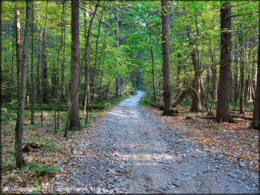 Pittsfield State Forest Mountain Bike Trails