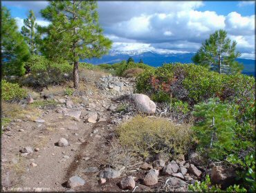 Example of terrain at Prosser Hill OHV Area Trail