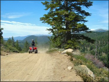 Woman riding a Honda All Terrain Vehicle at South Camp Peak Loop Trail