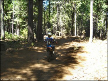 Honda CRF Motorcycle at Gold Note Trails