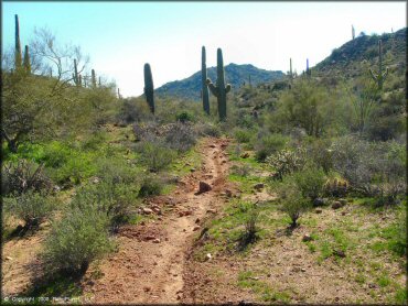 Example of terrain at Bulldog Canyon OHV Area Trail