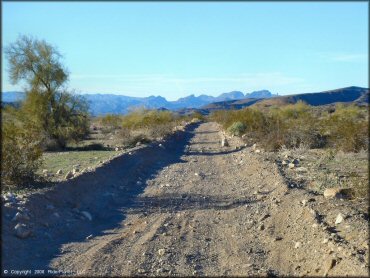 A trail at Shea Pit and Osborne Wash Area Trail
