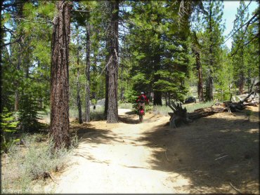 Honda CRF Dirt Bike doing a wheelie at Twin Peaks And Sand Pit Trail