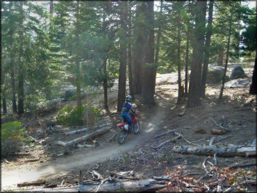 Honda CRF Dirt Bike at Corral OHV Trail