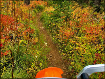 Canfield Mountain Trail System