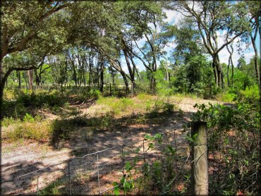 Wandering Wiregrass OHV Trail