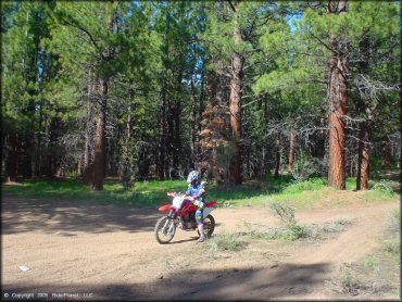 Honda CRF Motorcycle at Bull Ranch Creek Trail