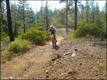 Suzuki RM250 with rider wearing black and yellow Fox motocross gear.