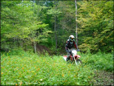 Honda CRF Dirt Bike at Tall Pines ATV Park Trail