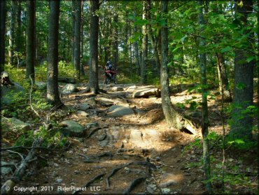 OHV at F. Gilbert Hills State Forest Trail