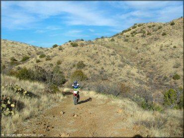 Woman on a Honda CRF Motorcycle at Santa Rita OHV Routes Trail