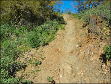 A close up photo of rugged, steep and narrow single track.