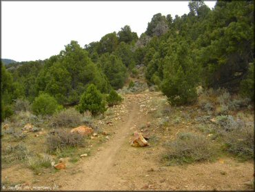 Some terrain at Sevenmile Canyon Trail