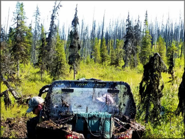 Caribou Hills Trail