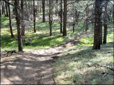 Example of terrain at Bull Ranch Creek Trail