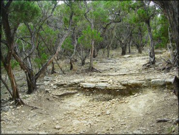 Example of terrain at Emma Long Metropolitan Park Trail