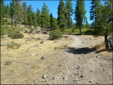 A trail at Interface Recreation Trails