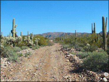 A trail at Mescal Mountain OHV Area Trail