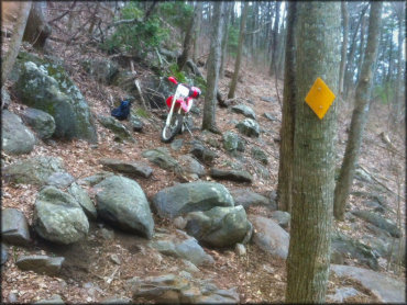 Windy Gap OHV Trail System