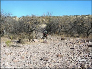 Honda CRF Motorbike at Red Springs Trail