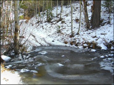 Example of terrain at Timberline Road Trail