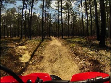 Up close photo of trail taken from the seat of a Honda ATV.