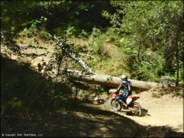 Honda CRF Trail Bike traversing the water at Miami Creek OHV Area Trail