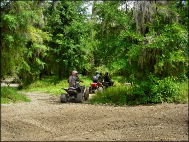 Three men on ATVs navigating a wooded section of trail.