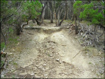 Terrain example at Emma Long Metropolitan Park Trail