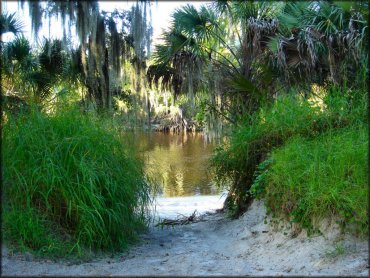 Peace River Campground Trail