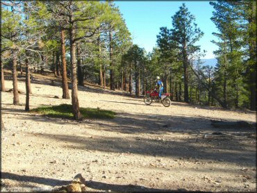 Honda CRF Motorcycle at Hunter Lake Trail