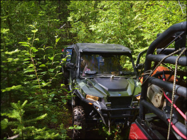 Owl Mountain Trail