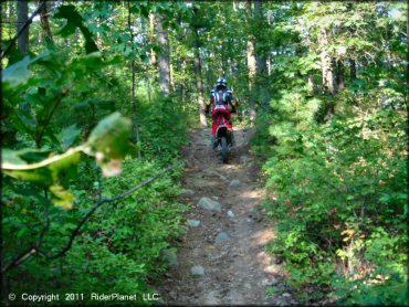 OHV at F. Gilbert Hills State Forest Trail