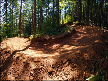 Blue Creek Bridge OHV Area Trail