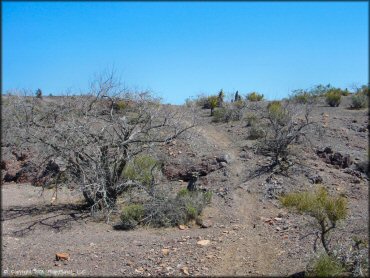 Some terrain at Nelson Hills Trail