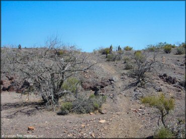 Example of terrain at Nelson Hills Trail